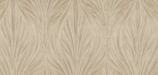 Featured Product Image