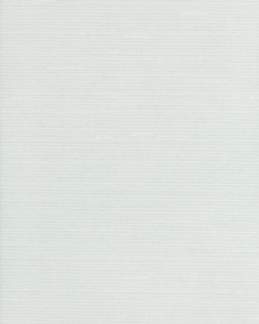  Bolta Contract Apex Cord SILVER STREAK