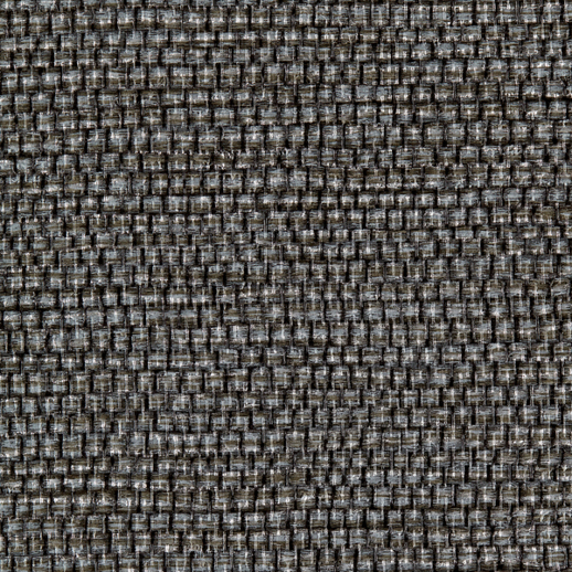  Bolta Contract Bali Reef Shark