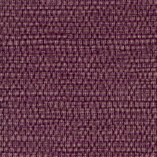  Bolta Contract Bali Orchid