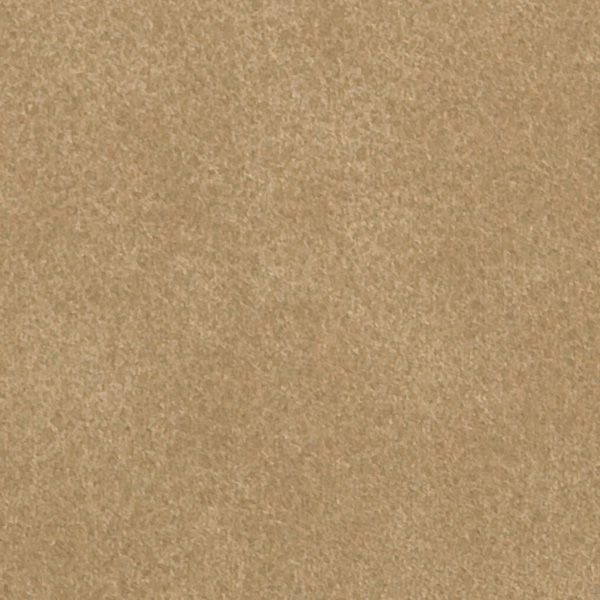 Vinyl Wall Covering Bolta Contract Coach Prairie Dog