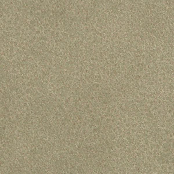 Vinyl Wall Covering Bolta Contract Coach Yucca Tree
