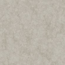 FOLKTALE DOVE