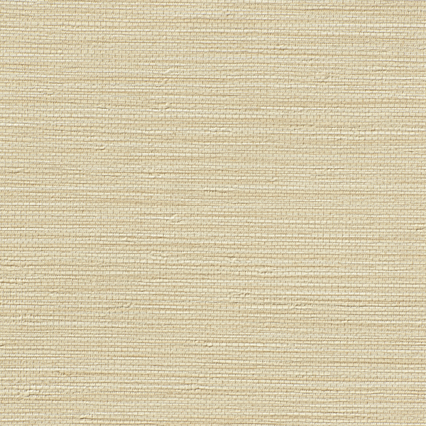 Featured Product Image