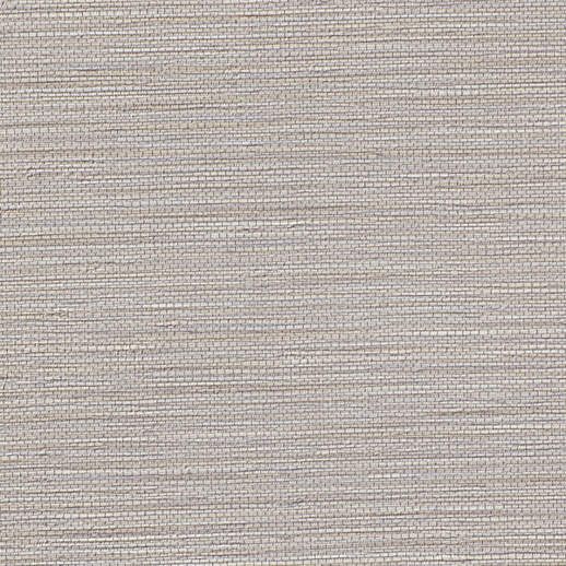  Bolta Contract Kasumi Thistle