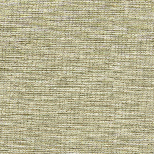  Bolta Contract Kasumi Glam Bamboo Root