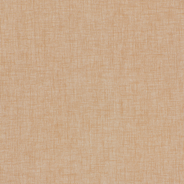 Featured Product Image