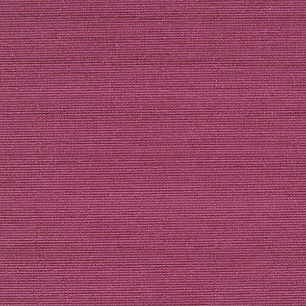 Featured Product Image