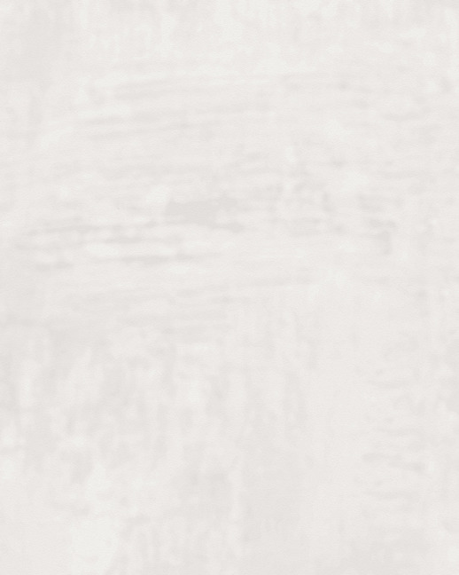  Bolta Contract Tuscan Plaster Limewash