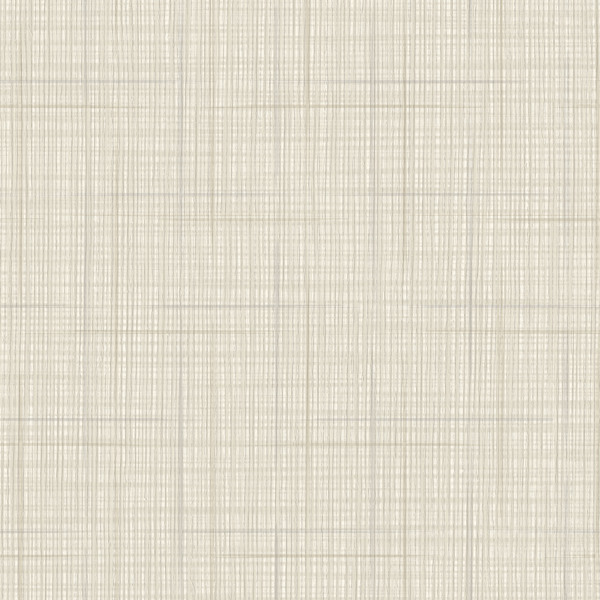 Vinyl Wall Covering Bolta Contract Willow Weave Buff