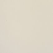 Paint & Finishes image