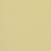 Paint & Finishes image