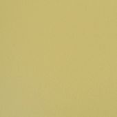 Paint & Finishes image