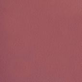 Paint & Finishes image