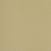 Paint & Finishes image