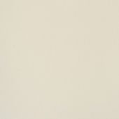 Paint & Finishes image