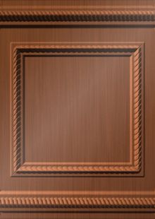 Dimension Ceilings Washington Ceiling Room Scene