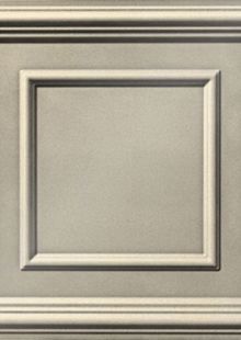 Dimension Ceilings Picture Perfect Ceiling Room Scene