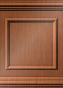 Dimension Ceilings Picture Perfect Ceiling Room Scene