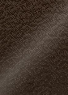 Dimension Ceilings Small Hammered Ceiling Room Scene