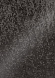 Dimension Ceilings Small Hammered Ceiling Room Scene