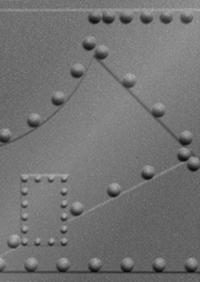 Dimension Ceilings Alloy Ceiling Room Scene