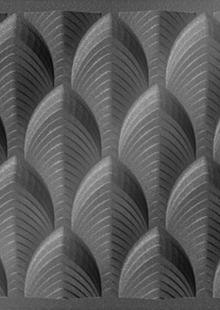 Dimension Ceilings Dubai Ceiling Room Scene