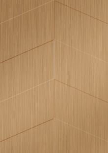 Dimension Ceilings Chevron Room Scene