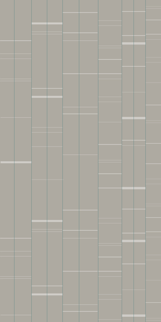  Digital Curated Matte Edifice Bike Lane