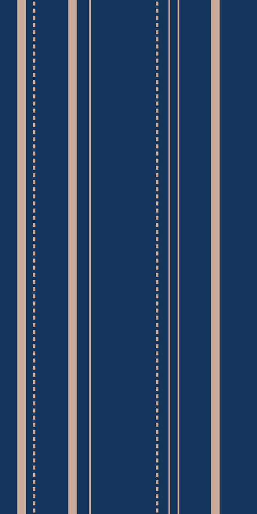  Digital Curated Matte Awning Stripe Blink