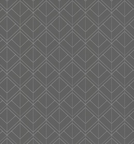  Design Gallery Viva La Art Borderline Graphite