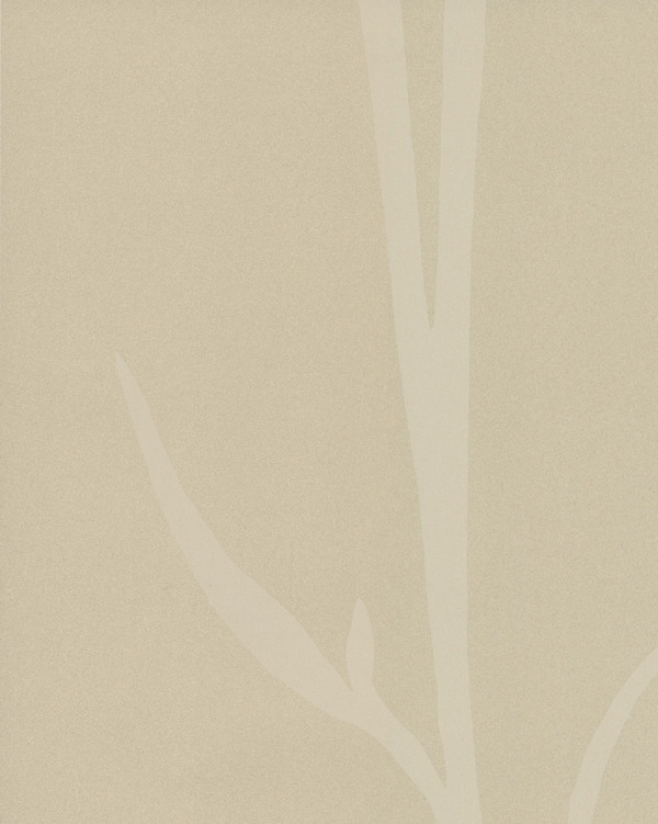 Featured Product Image