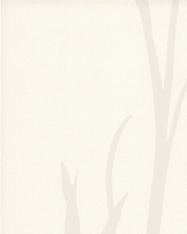 Featured Product Image