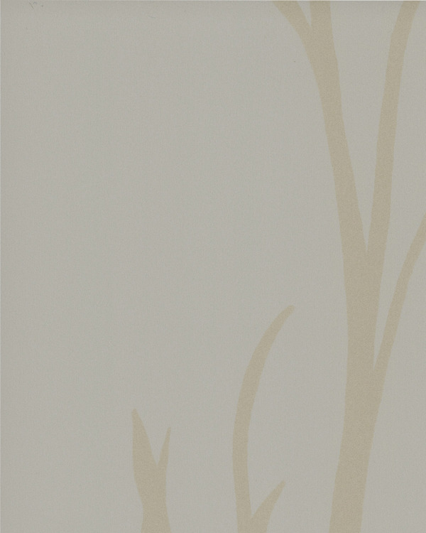 Featured Product Image