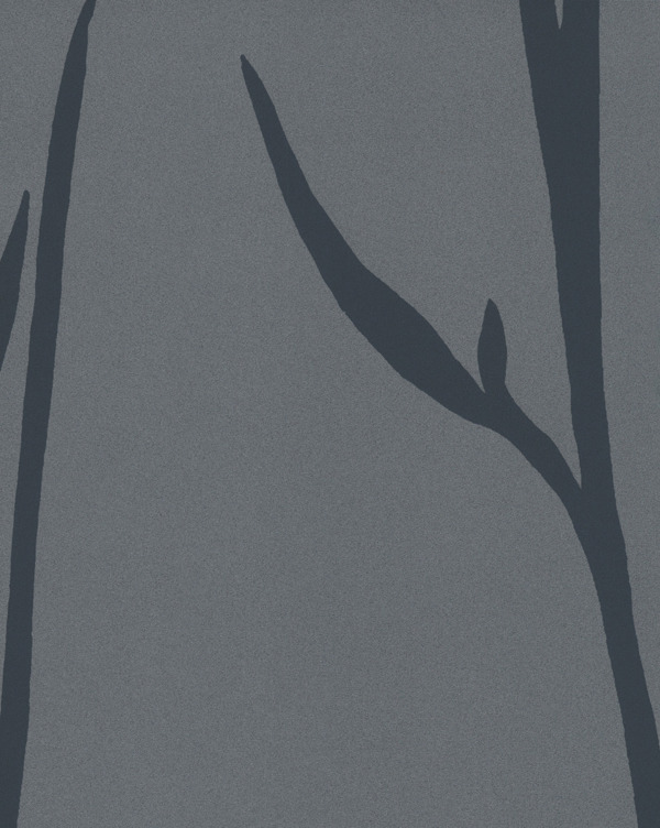 Featured Product Image