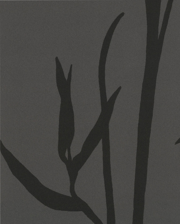 Featured Product Image