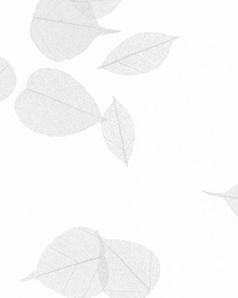 Ivory Cashmere
