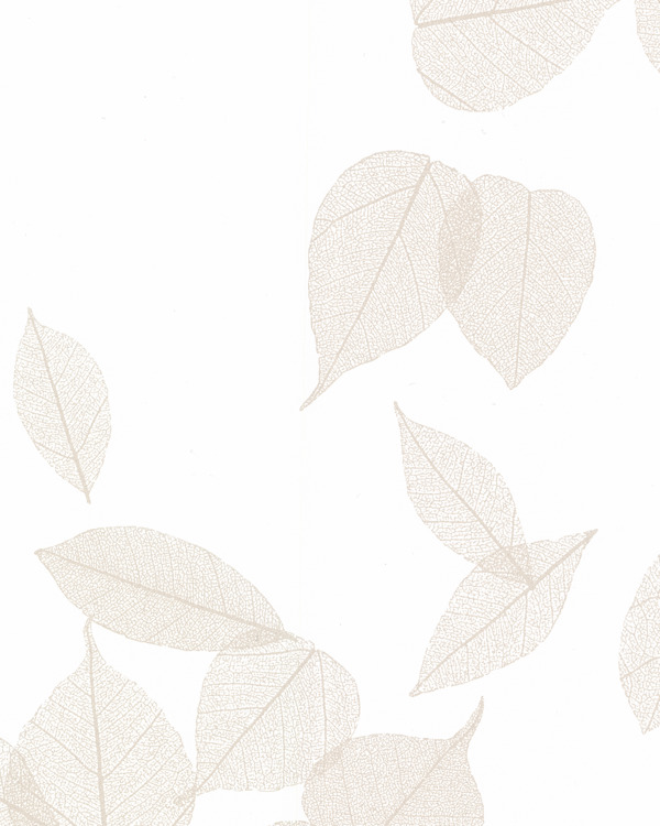 Featured Product Image