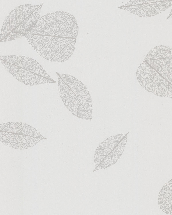 Featured Product Image