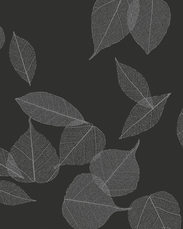 Featured Product Image