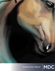 Digital Brushed Alum Dibond