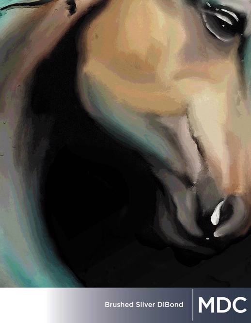  Digital Studio Digital Solutions Digital Brushed Alum Dibond