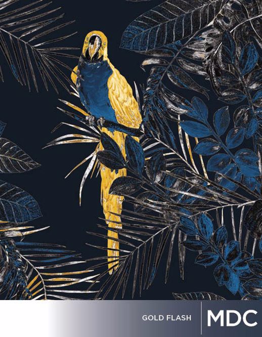  Digital Studio Digital Solutions Digital Gold Flash