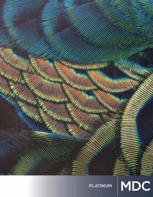  Digital Studio Digital Solutions DS PLATINUM