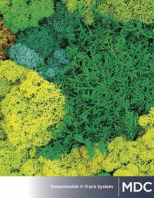 DIGITAL POWERSTRETCH