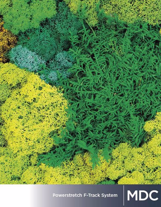  Digital Studio Digital Solutions DIGITAL POWERSTRETCH