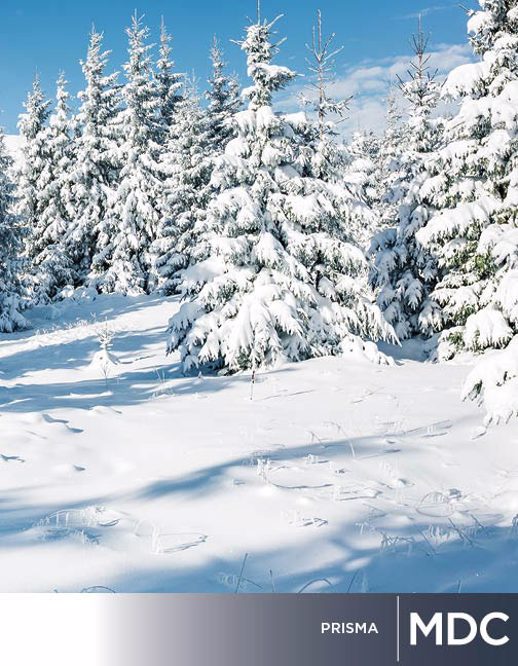  Digital Studio Digital Solutions 