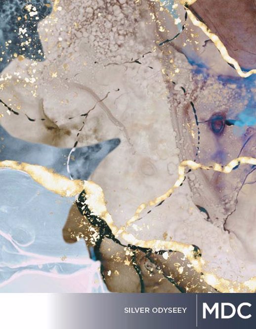  Digital Studio Digital Solutions DS SILVER ODESSEY