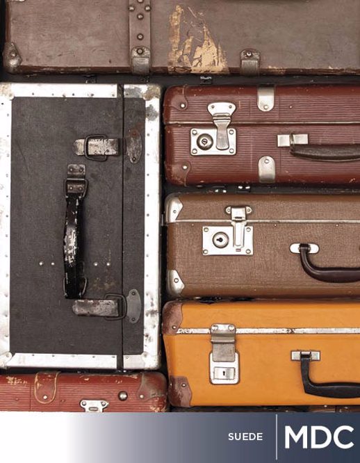  Digital Studio Digital Solutions Digital Suede