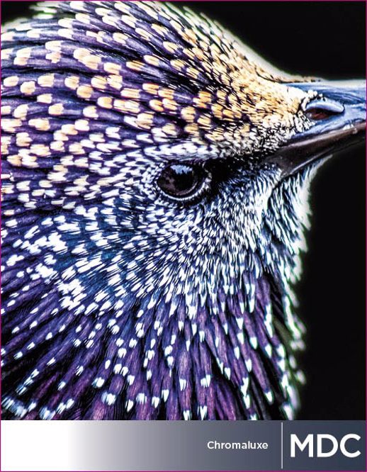  Digital Studio Digital Solutions DIGITAL WHITE METAL .045 MATTE WHITE METAL